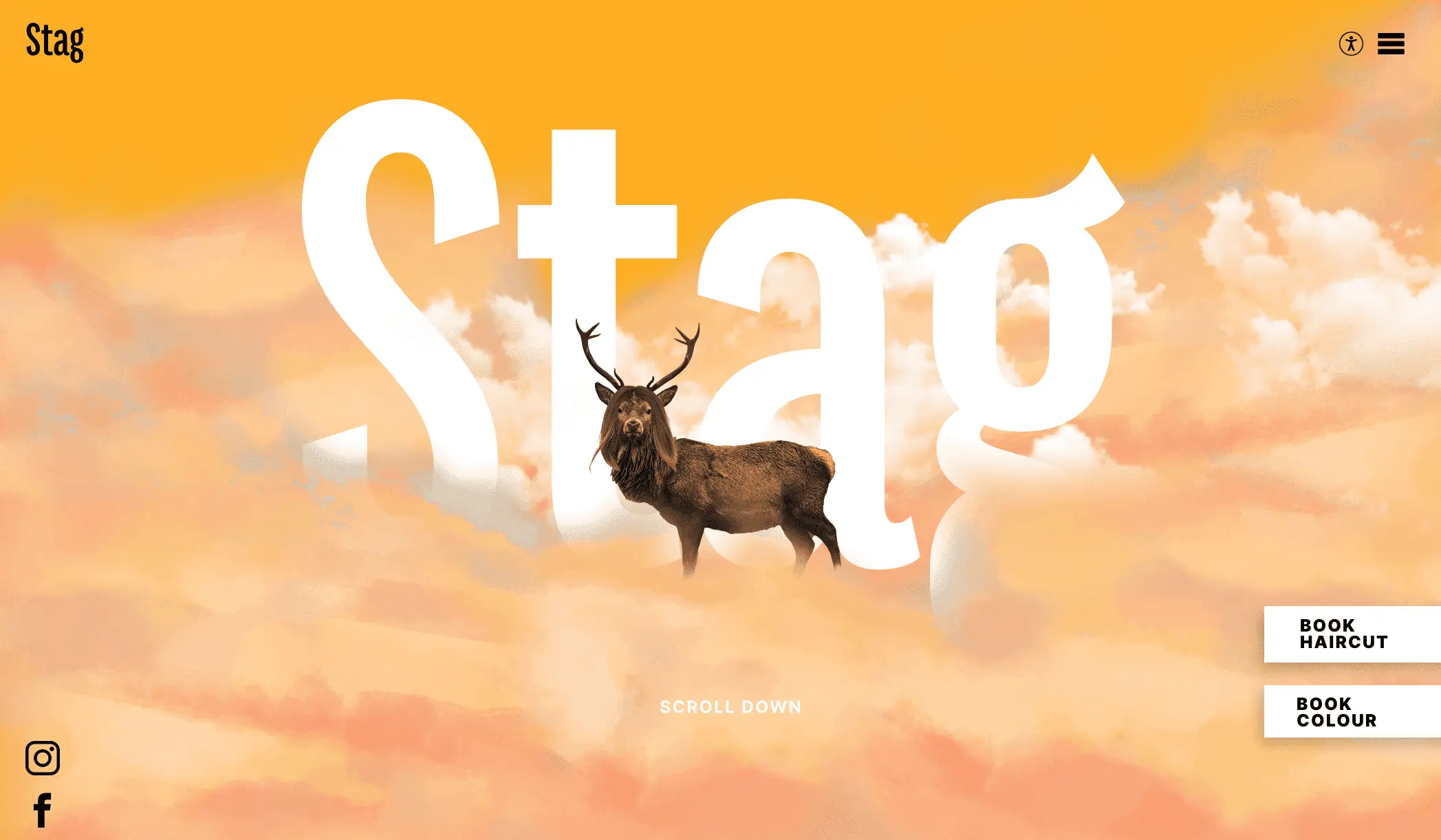 Stag-装饰公司